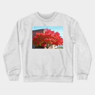 Red Maple Tree Crewneck Sweatshirt